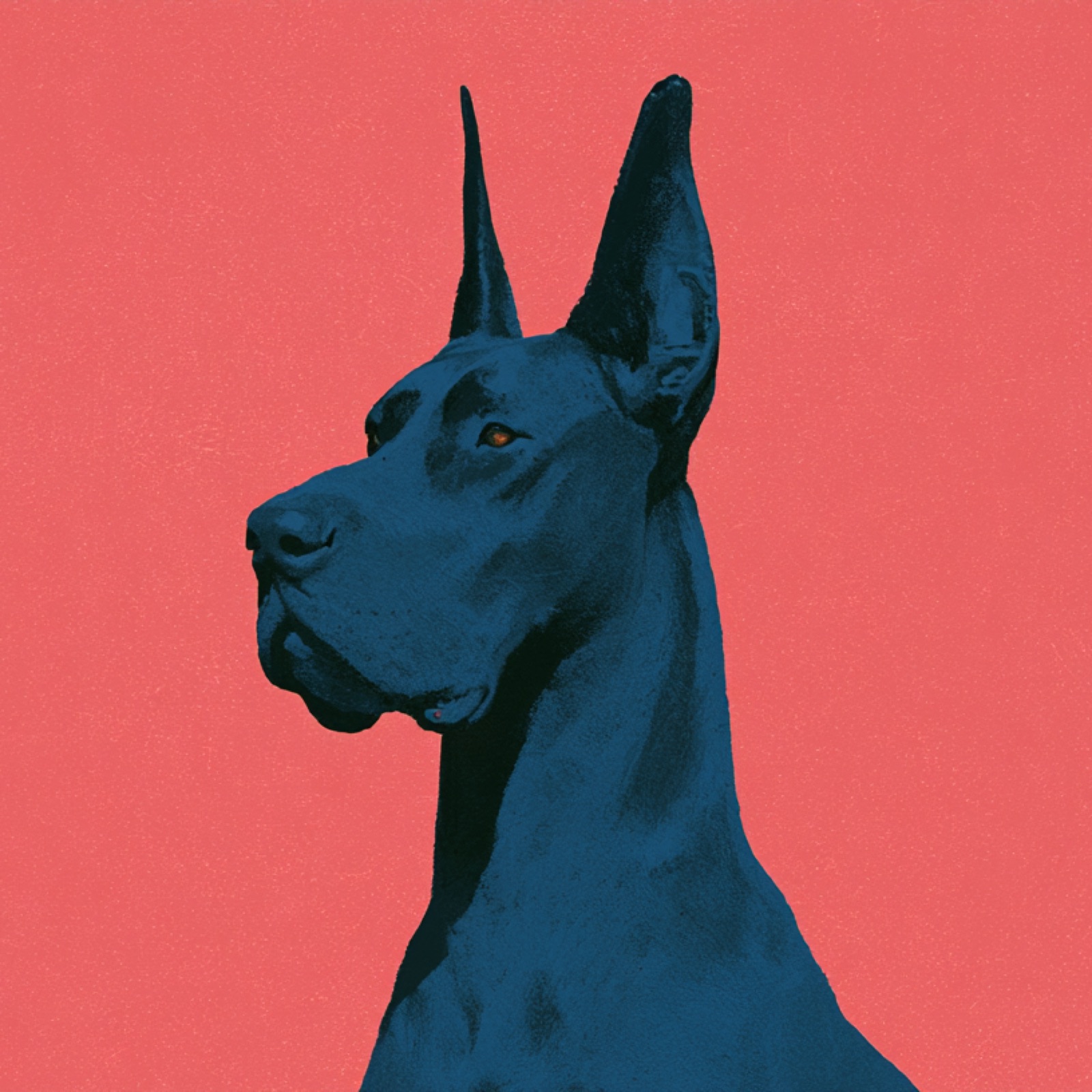 Dog demo